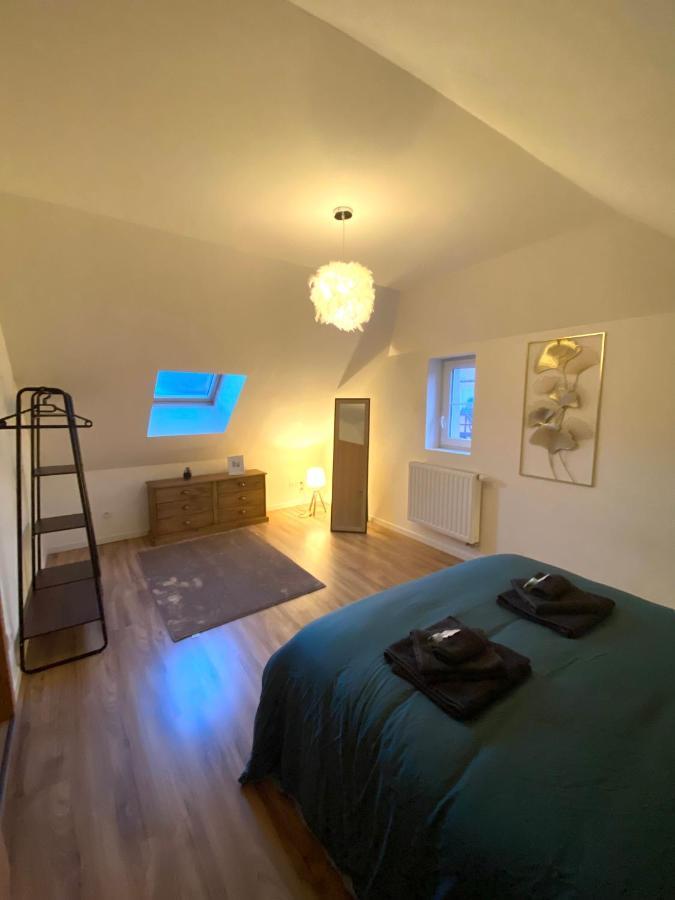 Duplex Moderne A 10 Minutes De Colmar Apartment Wintzenheim Exterior photo